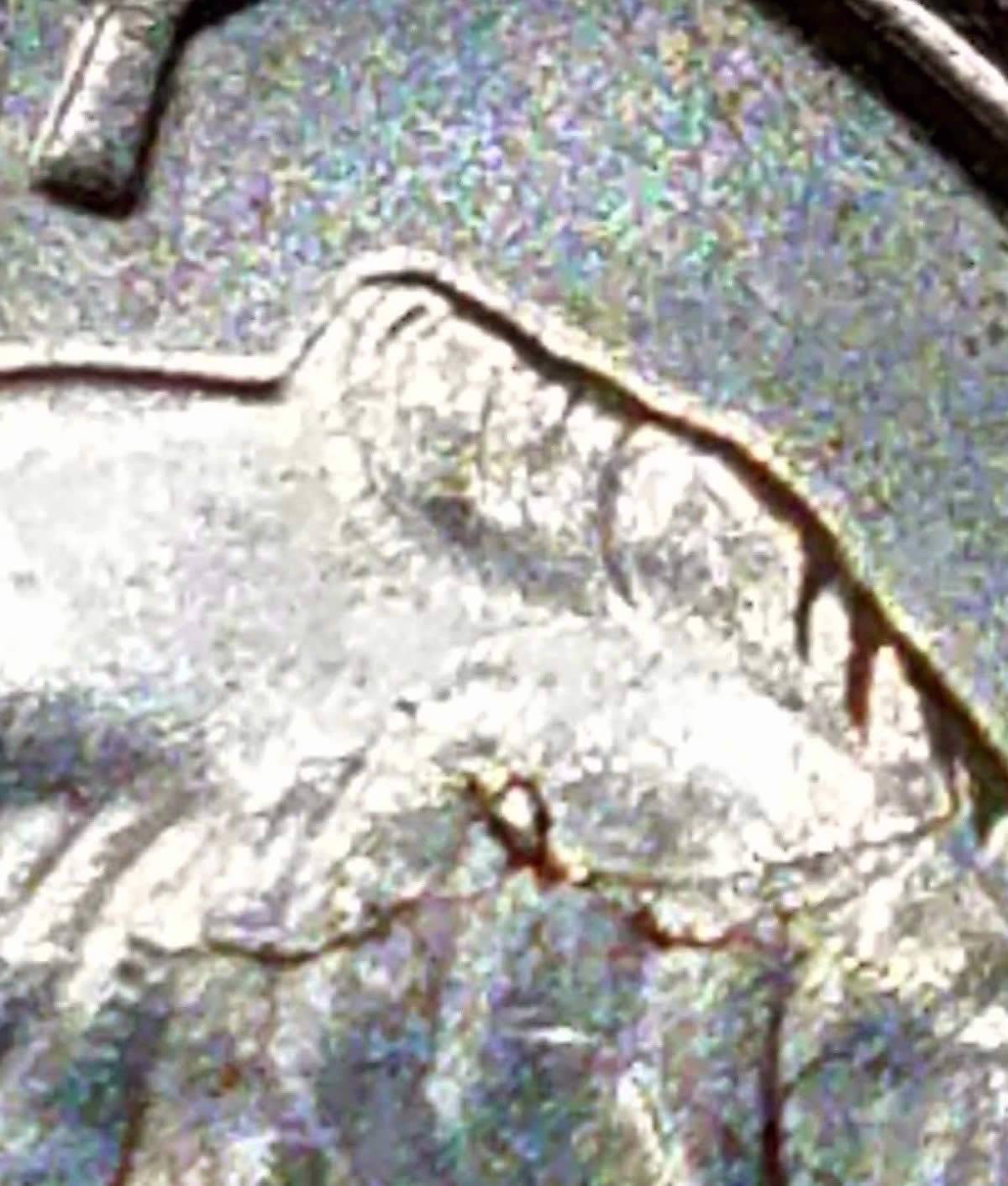 2016-P-Roosevelt-Retained-Internal-Die-Break-On-Obverse?